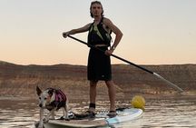 Kayak/SUP Tour: Birds, Beavers, Turtles, maybe even Cliff Jumping
