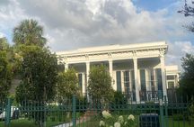 Highlights of the New Orleans Carrollton Neighborhood