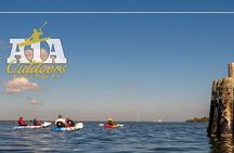 Self-Guided Kayaking Manatee and Dolphin Tour
