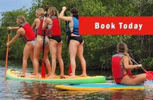 Self-Guided Kayaking Manatee and Dolphin Tour