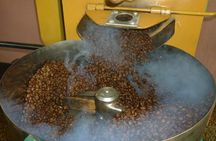 Costa Rican Coffee, Chocolate and Sugar Cane Activity