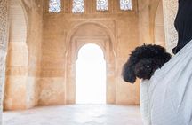 Alhambra Day or Night Private Tour