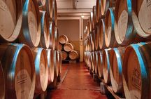 Savor Montevideo: Private Wine Experience for Cruise Passengers
