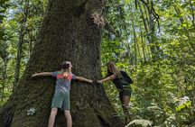 Whistler: Immersive Nature Experience for Families