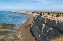 Peninsula Valdés - EARLY BOOKING -20 OFF - for Cruise Passengers