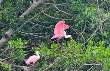 Bonita Springs Eco Kayak Tour – Best Gear, Premium&Clear Kayaks