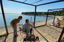 Poreč painting course - painting in Istria
