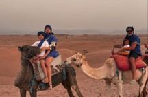 Marrakech: Quad & Camel Ride with Sunset, Dinner & Show