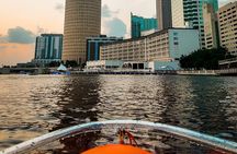 Clear Kayaking Glow Tour in Tampa Riverwalk
