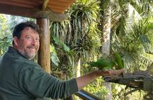 Birdwatching, Atlantic Rainforest Hike, São Paulo Ecotourism