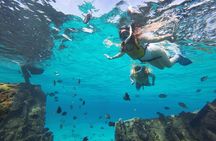 Cancun 6 in 1 Snorkeling Tour: MUSA, Shipwreck, Reefs & Cenotes