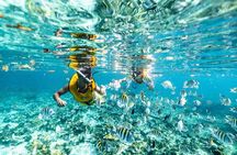 Puerto Morelos Coral Reef Snorkeling Adventure