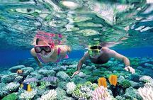 Puerto Morelos Coral Reef Snorkeling Adventure