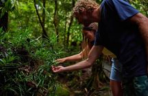 Explorer Tour by Cairns Waterfalls