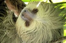 Manuel Antonio Park Guided Tour - Admission Ticket Included