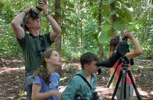 Guided tour in Carara National Park