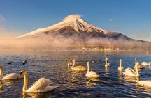 From Tokyo: Private Day Trip to Mount Fuji & Fuji Five lakes