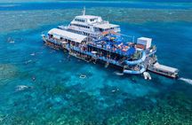 Sunlover Reef Cruises Cairns Great Barrier Reef Experience