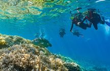 Sunlover Reef Cruises Cairns Great Barrier Reef Experience