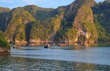 Hanoi: 2-Day Halong Bay Royal Palace Cruise, Cave, Ti Top Island 