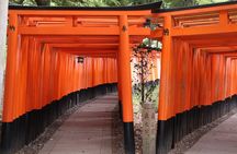 Kyoto Walking Tour at Fushimi Inari Shrine and Tofukuji Temple