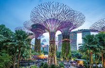Best Singapore Tour for Cruise Passengers