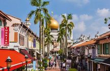 Best Singapore Tour for Cruise Passengers