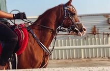 Private Doha Quad Bike, Horse Ride, Camel Ride All Inclusive Tour
