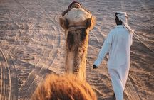 Private Doha Quad Bike, Horse Ride, Camel Ride All Inclusive Tour