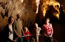 From Auckland:Hobbiton Movie Set & Waitomo Caves Small Group Tour