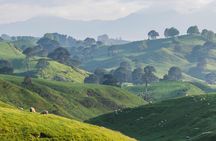 Hobbiton Movie Set & Waitomo Caves Small Group Tour From Auckland