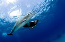 Private Speedboat Dolphin House Snorkeling & Water Sport–Hurghada