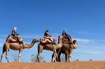 Jeep safari 4x4 mini sahara desert with Berber Lunch