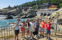 Private Minibus Tour in Busan for Cruise Ship Guests 8-15 People