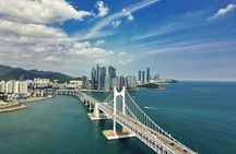 Private Minibus Tour in Busan for Cruise Ship Guests 8-15 People