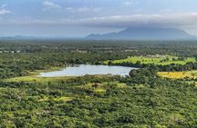 Day tour to Pidurangala Rock & Dambulla from Kandy