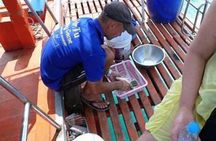 Fishing & Island Lunch Cruise from Koh Samui – Catch & Relax