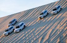  4 hours Desert Safari Experience in Doha up to Group of 5