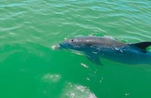 7 Hours Gulfport Tritoon Boat Rental to St Petersburg Waterways