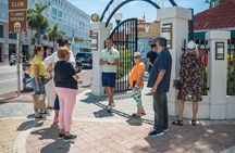 Miami sightseeing and Millionaire row boat tour