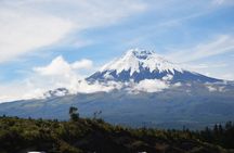 8-day tour through the mountains and Amazon of Ecuador