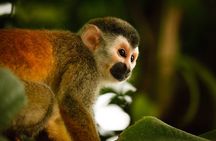 8-day tour through the mountains and Amazon of Ecuador