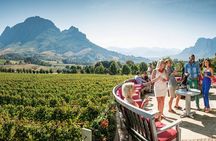  Stellenbosch & Franschhoek Wine Tasting Private Tour incl. Lunch