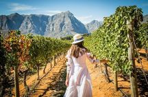  Stellenbosch & Franschhoek Wine Tasting Private Tour incl. Lunch