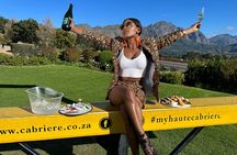  Stellenbosch & Franschhoek Wine Tasting Private Tour incl. Lunch