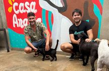 Saving Animals Tour in La Guajira (4 days / 3 nights)