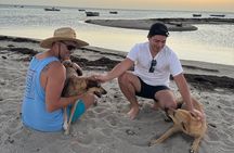Saving Animals Tour in La Guajira (4 days / 3 nights)