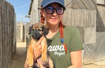 Saving Animals Tour in La Guajira (4 days / 3 nights)