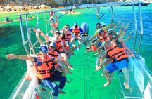 Los Cabos 3 in 1 Adventure: Camel Ride, Lunch and Arch Boat Tour
