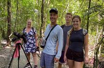 Private Nature Walk in Manuel Antonio National Park